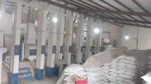 عکس کارخانه شالیکوبی مکانیزه کادوس (نعیمی)