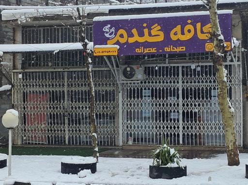 عکس کافه صبحانه و دیزی گندم