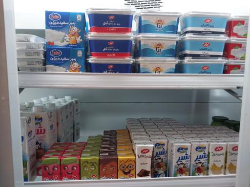 عکس فروشگاه بادپیما 