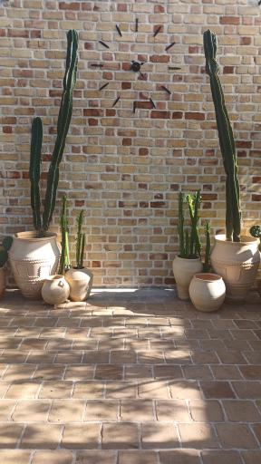 عکس باغ عمارت ودود 