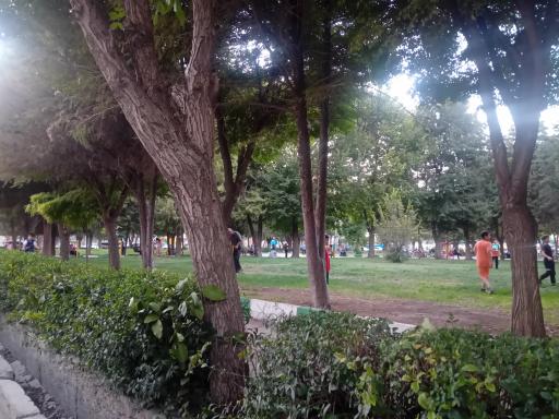 عکس پارک قائم