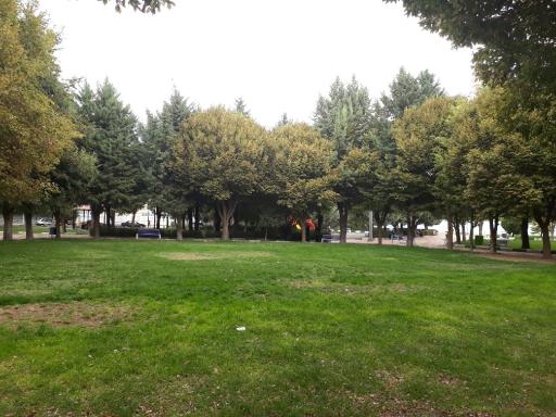 عکس پارک قائم