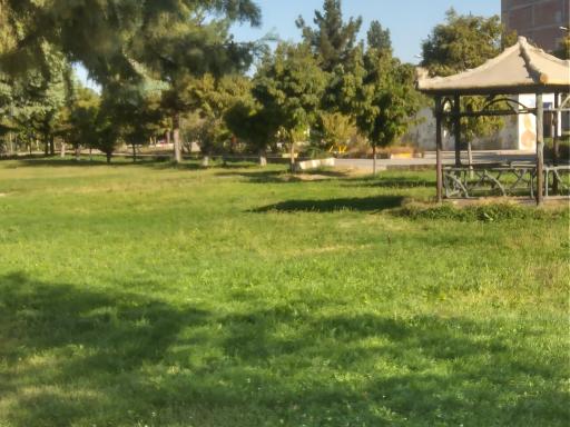 عکس پارک ملت