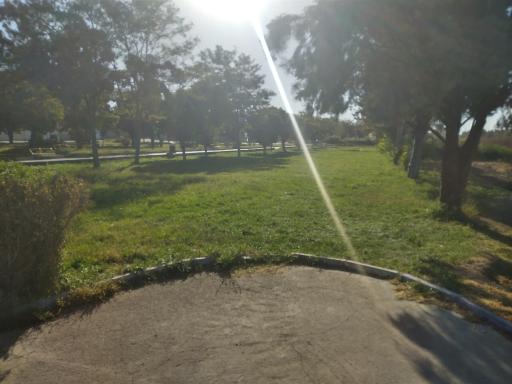 عکس پارک ملت