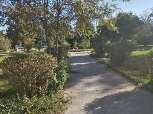 عکس پارک ملت