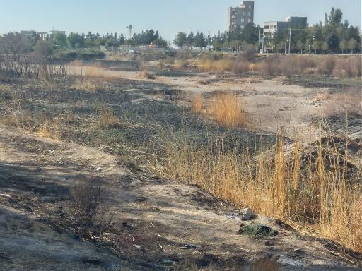 عکس پارک ملت