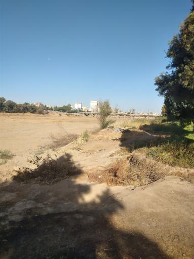 عکس پارک ملت