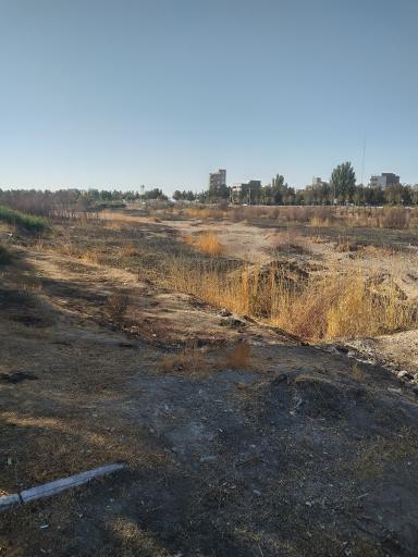 عکس پارک ملت