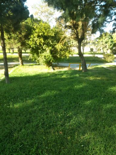 عکس پارک ملت