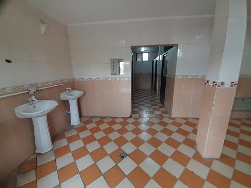 عکس سرویس بهداشتی