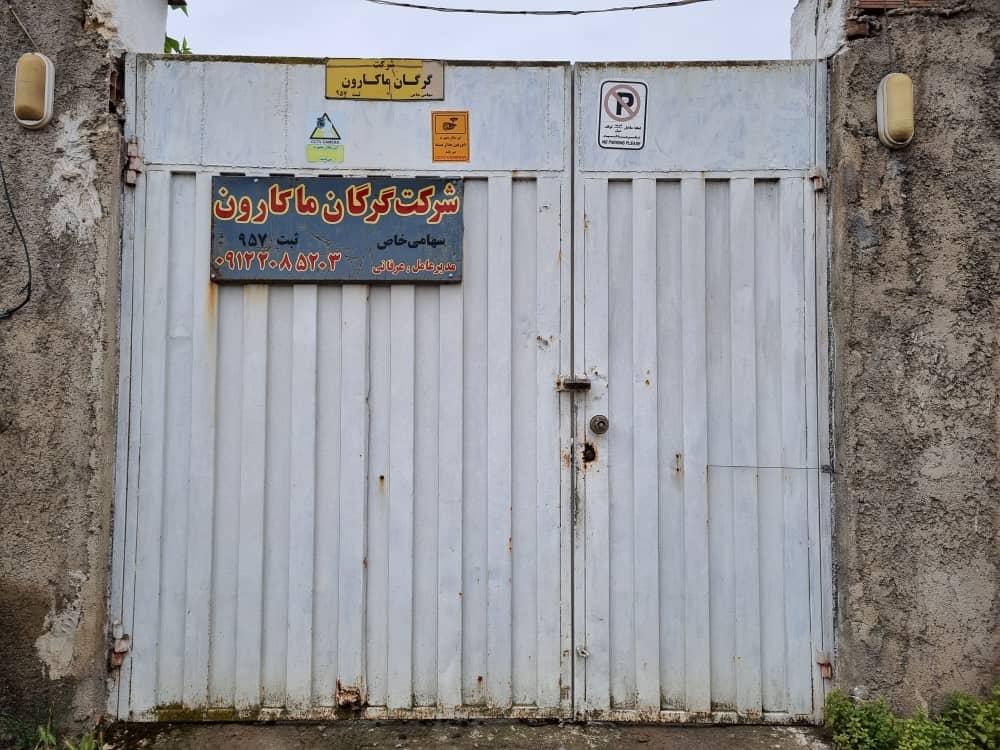 عکس شرکت گرگان ماکارون