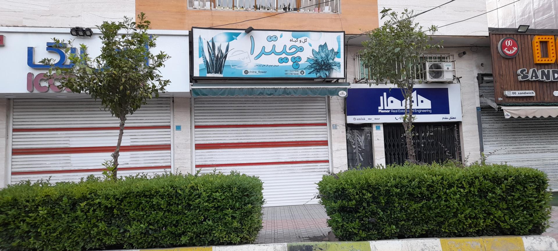 عکس گل فروشی چیترا