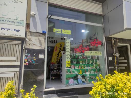 عکس دنیای دمپایی