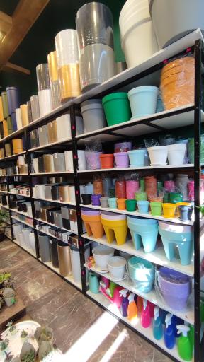 عکس گل فروشی چیترا