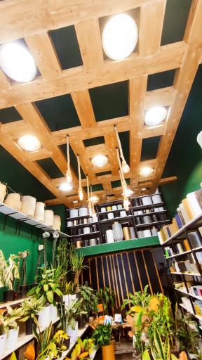 عکس گل فروشی چیترا