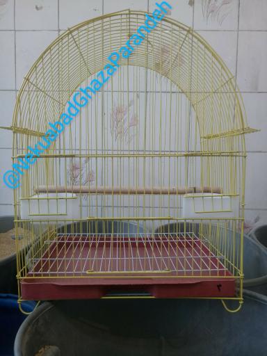 عکس غذای پرندگان خانگی زاینده رود