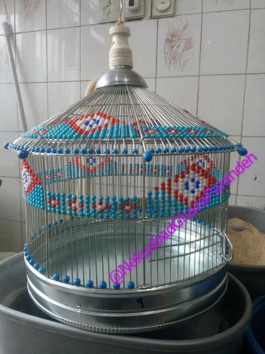 عکس غذای پرندگان خانگی زاینده رود