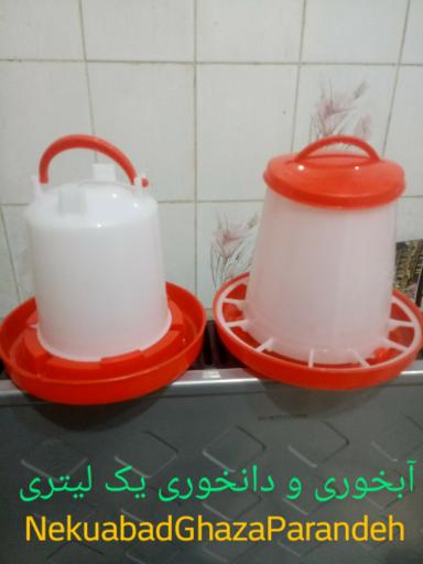 عکس غذای پرندگان خانگی زاینده رود