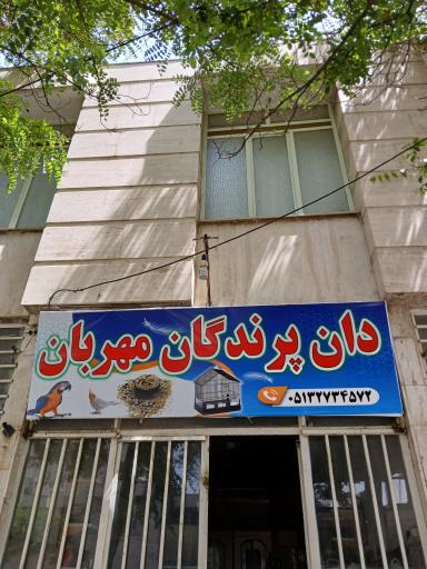 عکس دان پرندگان مهربان