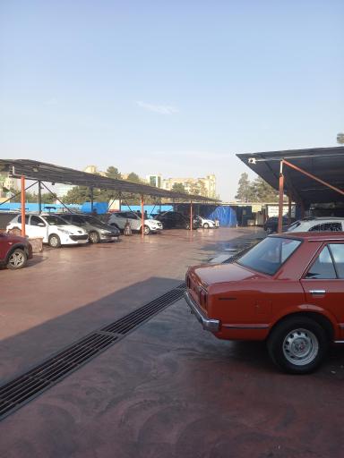 عکس کارواش گلداستار