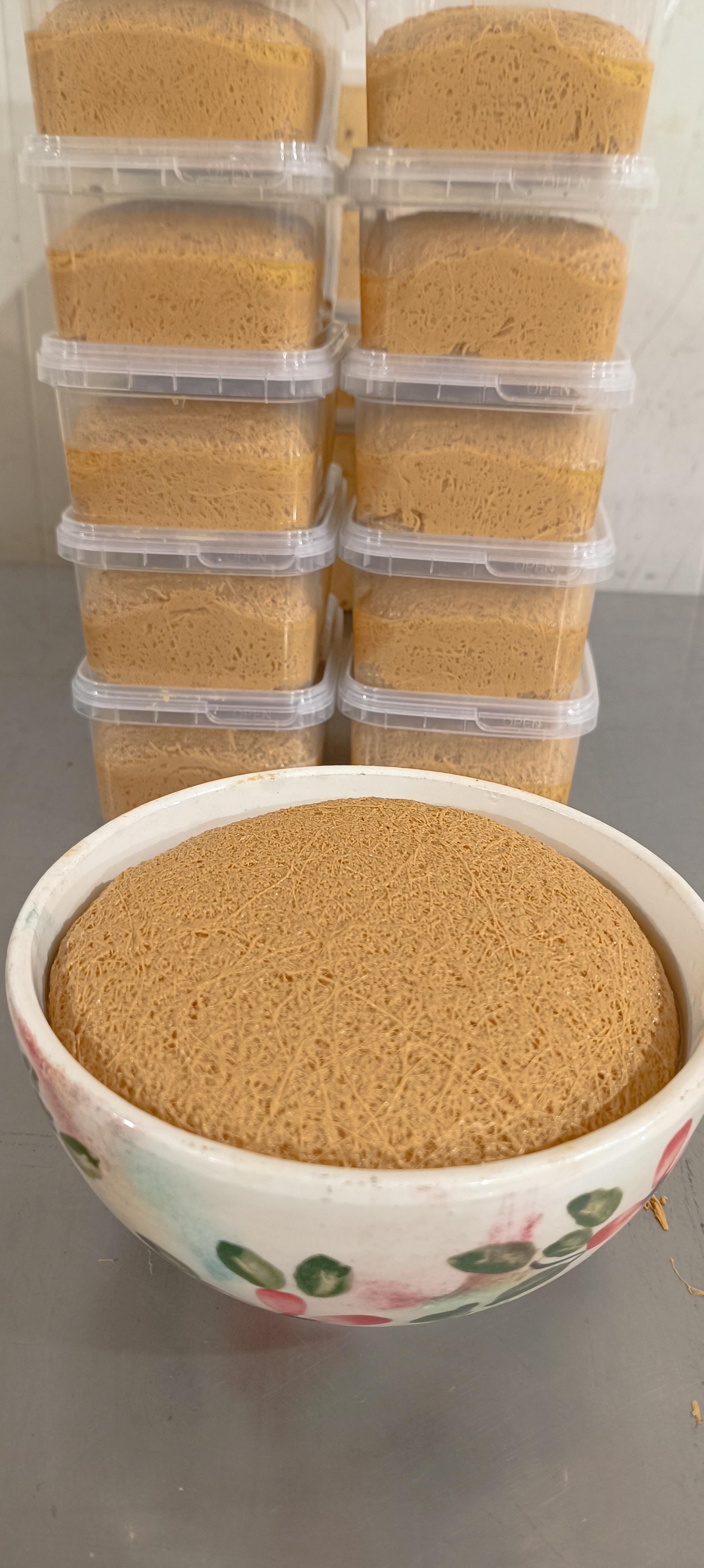 عکس جزیره حلوا (برادران حسنی)