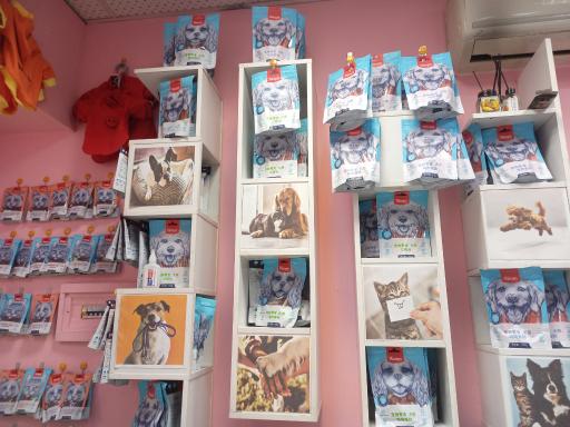 عکس پت شاپ پت ایران 