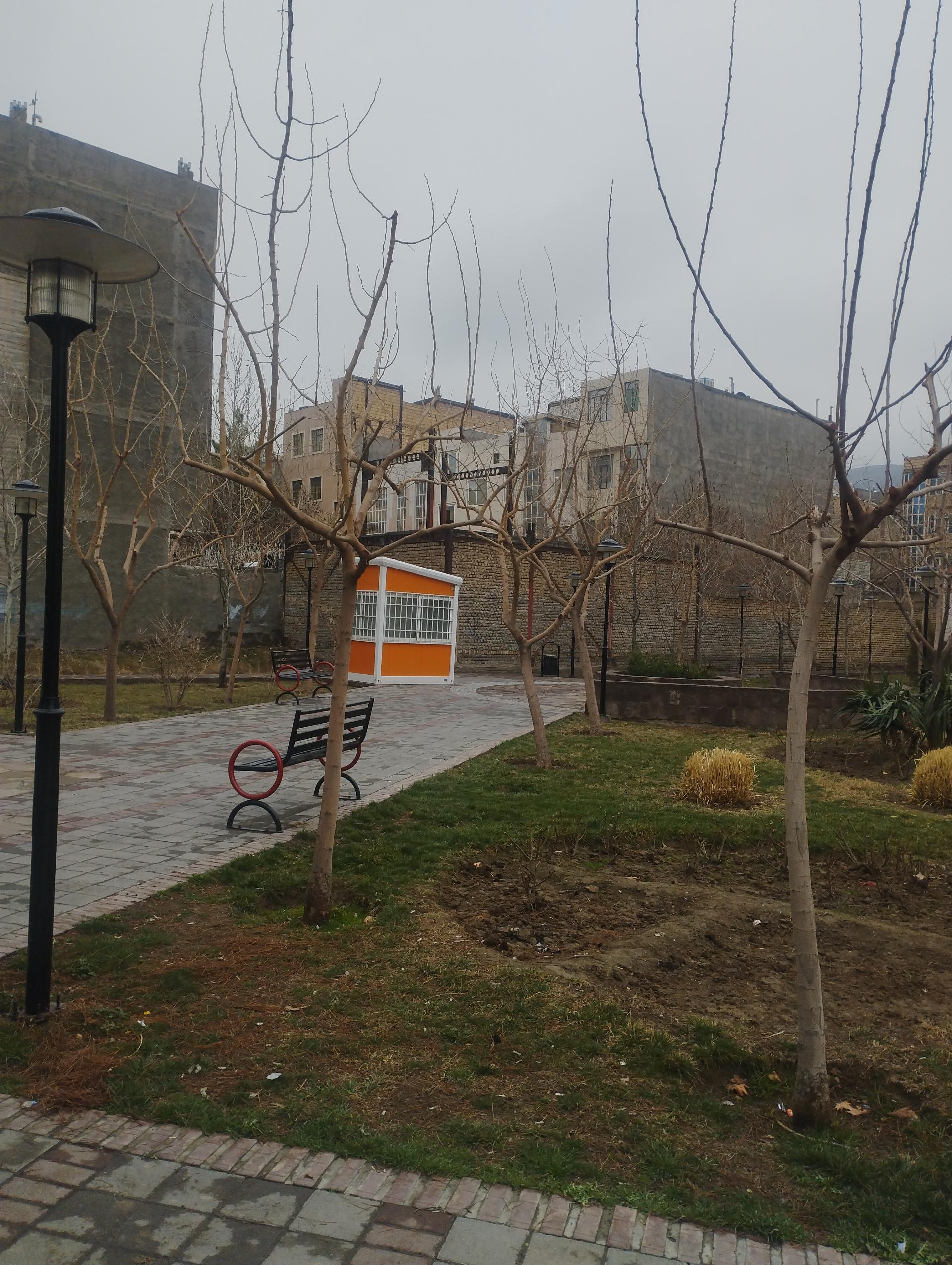 عکس بوستان خطی زیتون 