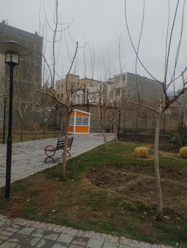 عکس بوستان خطی زیتون 