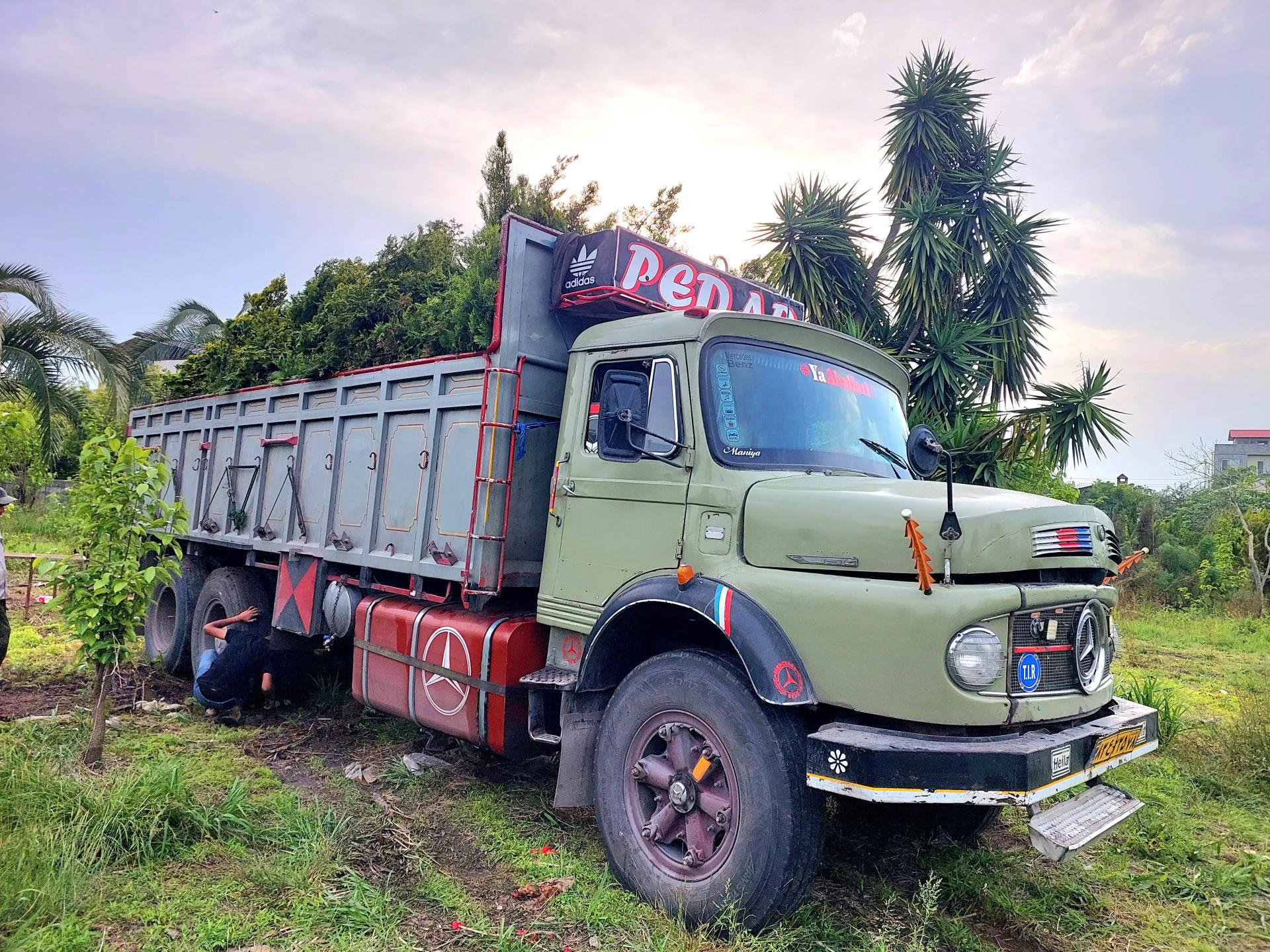 عکس باغ گل دادمهر