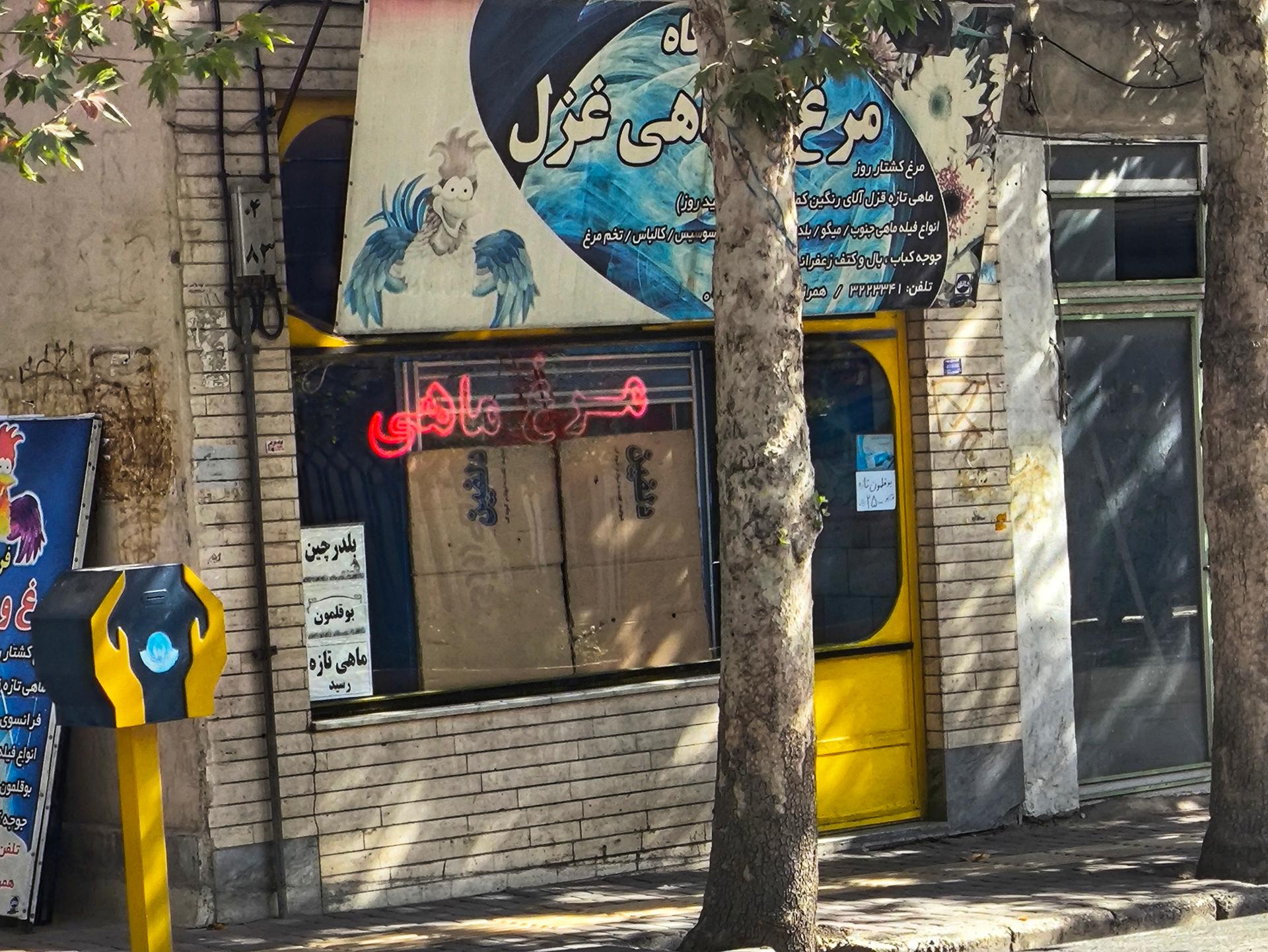 عکس مرغ و ماهی غزل