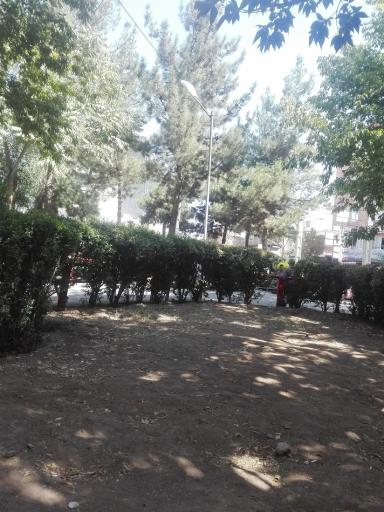 عکس بوستان داخل شهر