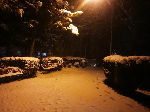 عکس بوستان داخل شهر