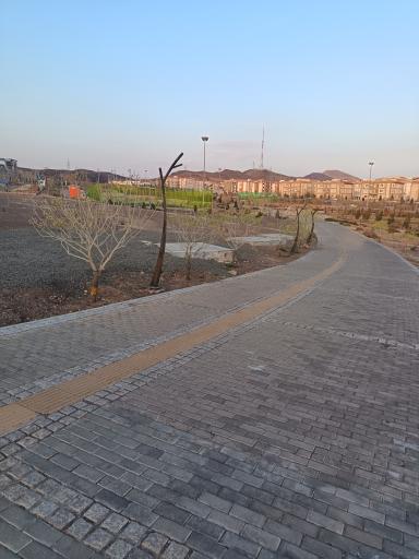 عکس بوستان مشاهیر شمالی