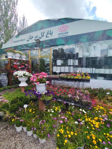 عکس نمایشگاه گل و گیاه مرجان