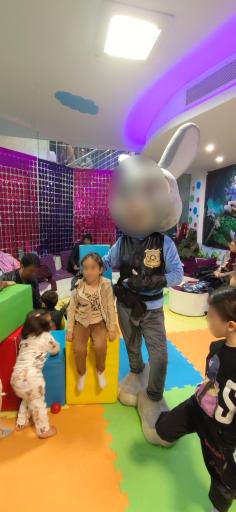 عکس خانه بازی قلعه شادی 