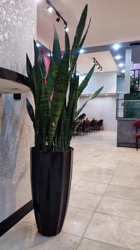 عکس کافه فست فود رنجبر 