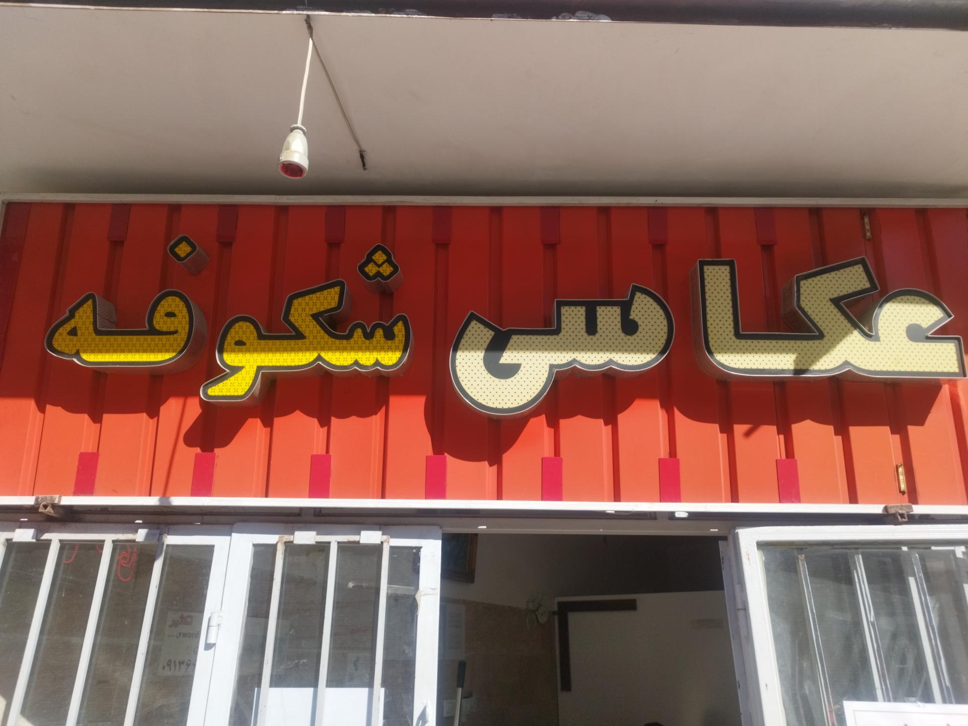 عکس عکاسی شکوفه
