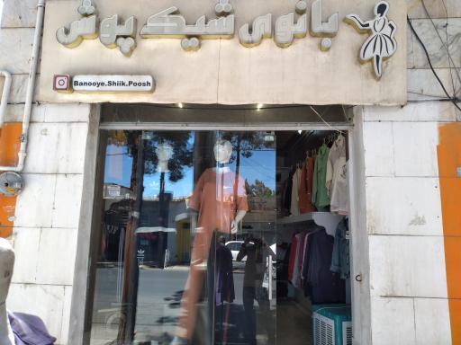 عکس بانوی شیک پوش