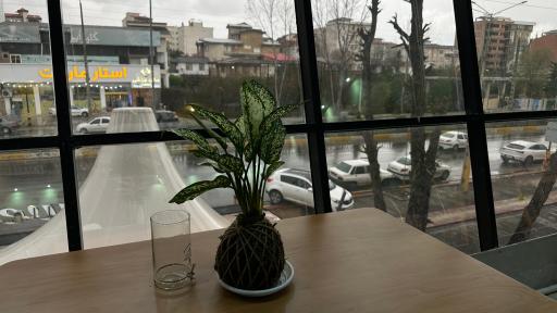 کافه چکاوک بیسترو
