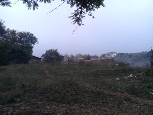 عکس لاهو