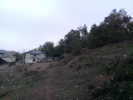 عکس لاهو