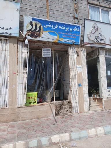 عکس دانه و پرده فروشی محسن