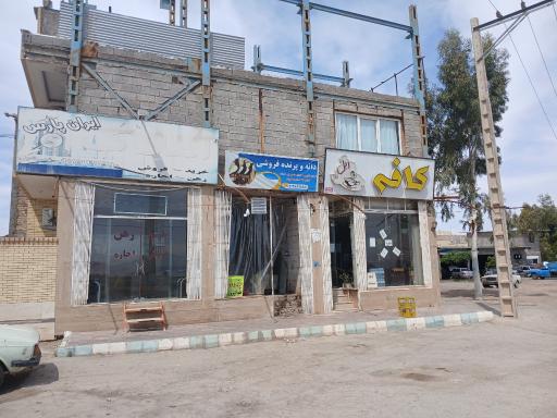 عکس دانه و پرده فروشی محسن