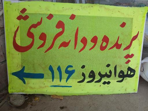 عکس دانه و پرده فروشی محسن