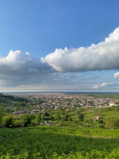 عکس ساری