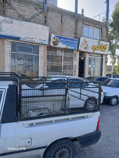 عکس دانه و پرده فروشی محسن