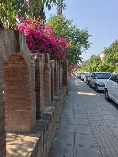 عکس ساری