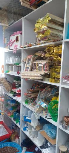 عکس پخش قفس و لوازم پرندگان سام