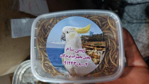 عکس پخش قفس و لوازم پرندگان سام