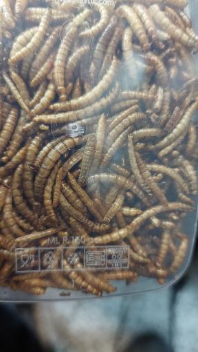 عکس پخش قفس و لوازم پرندگان سام